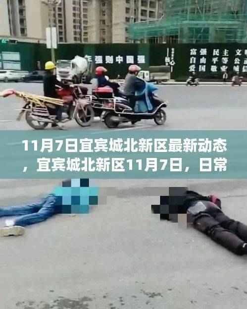 宜宾城北新区11月7日动态,日常趣事与友情的交织温暖时光