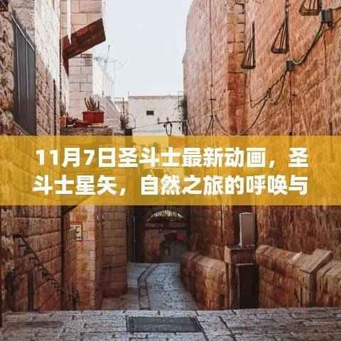 圣斗士星矢最新动画,自然之旅的呼唤与内心宁静之道揭秘