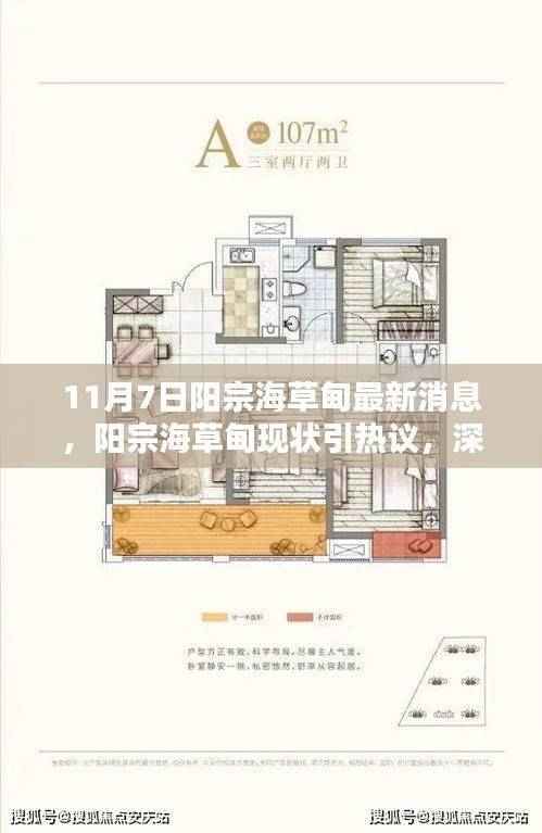 阳宗海草甸最新消息热议,现状、观点深度解析