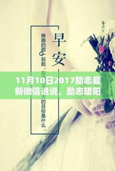 励志暖阳下的日常,家庭纽带与爱在生活中的传递