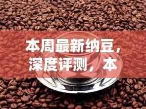 本周纳豆新品深度评测,特性、体验、竞品对比及用户群体洞察