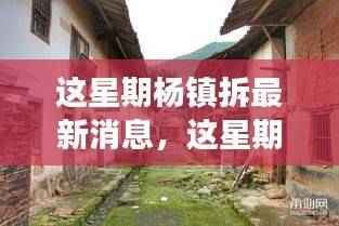 揭秘杨镇拆迁最新进展与背后故事,本周最新消息速递