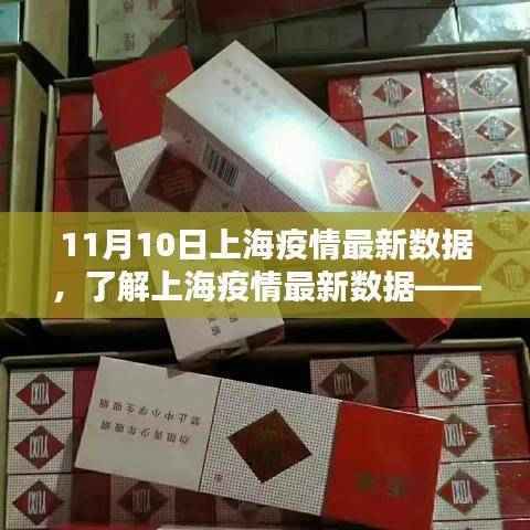 上海疫情最新数据详解,11月10日更新,初学者与进阶用户指南