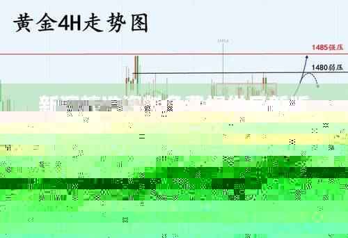 新澳精准资料免费提供最新版,投资利润率_灵活版RLA802.09