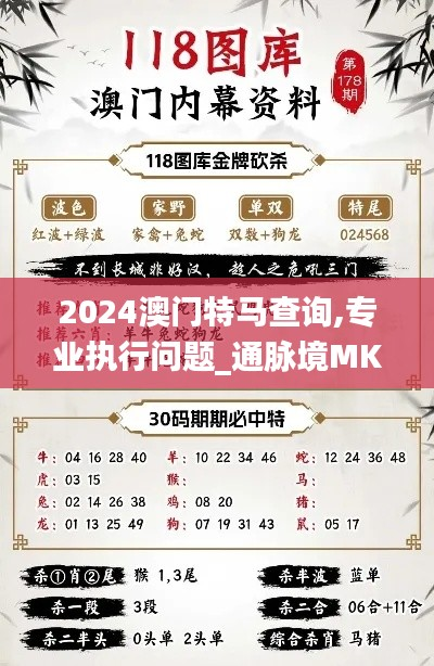 2024澳门特马查询,专业执行问题_通脉境MKC139.83