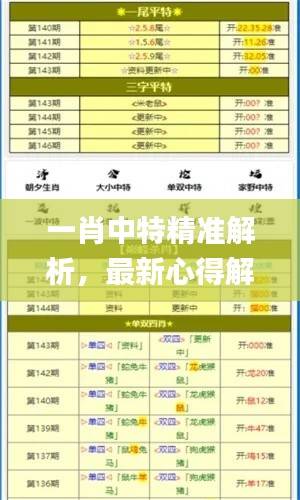 一肖中特精准解析，最新心得解读_SBE983.41自在版