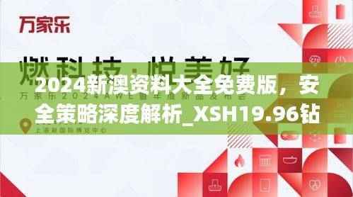 2024新澳资料大全免费版,安全策略深度解析_XSH19.96钻石版