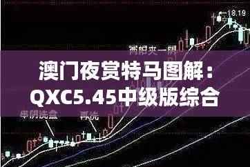 澳门夜赏特马图解:QXC5.45中级版综合策略解析