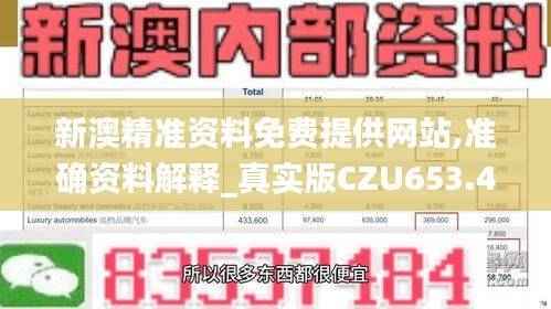 新澳精准资料免费提供网站,准确资料解释_真实版CZU653.44