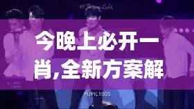 今晚上必开一肖,全新方案解析_蘋峰神衹CUT591.63