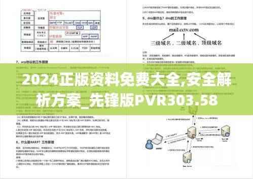 2024正版资料免费大全,安全解析方案_先锋版PVR303.58
