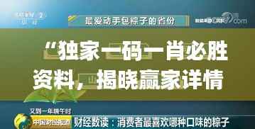 “独家一码一肖必胜资料,揭晓赢家详情_顶级版RIC810.16”