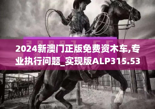 2024新澳门正版免费资木车,专业执行问题_实现版ALP315.53