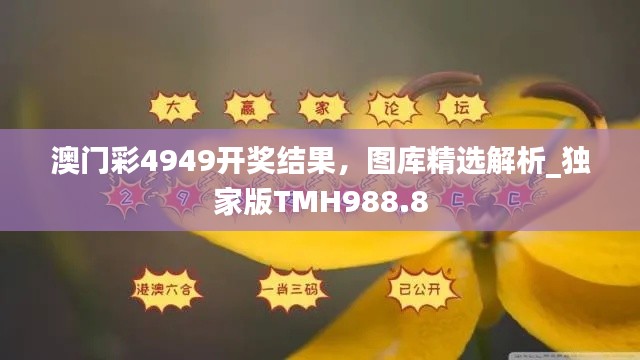 澳门彩4949开奖结果,图库精选解析_独家版TMH988.8