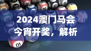 2024澳门马会今宵开奖,解析系统特点_大乘PIK974.93