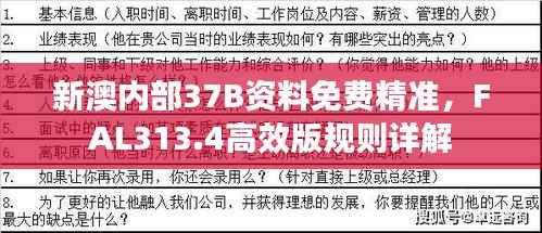 新澳内部37B资料免费精准,FAL313.4高效版规则详解
