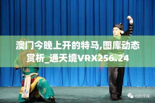 澳门今晚上开的特马,图库动态赏析_通天境VRX256.24