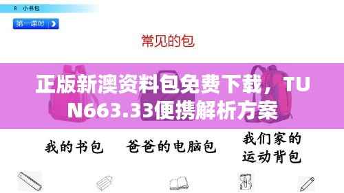 正版新澳资料包免费下载,TUN663.33便携解析方案
