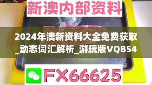 2024年澳新资料大全免费获取_动态词汇解析_游玩版VQB544.53