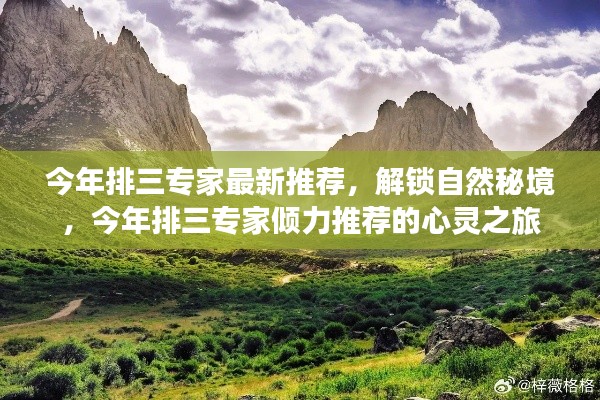 商品分类 第450页