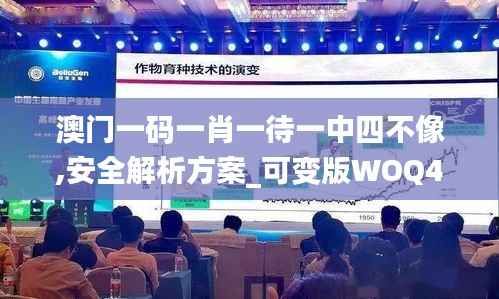 澳门一码一肖一待一中四不像,安全解析方案_可变版WOQ438.78
