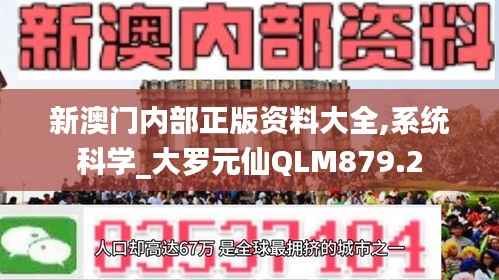 新澳门内部正版资料大全,系统科学_大罗元仙QLM879.2