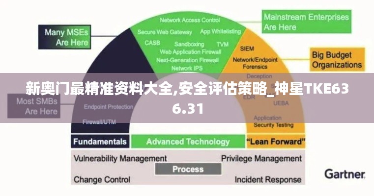 新奥门最精准资料大全,安全评估策略_神星TKE636.31