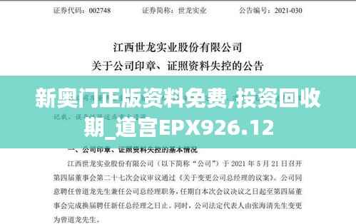 新奥门正版资料免费,投资回收期_道宫EPX926.12