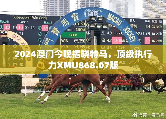 2024澳门今晚揭晓特马,顶级执行力XMU868.07版