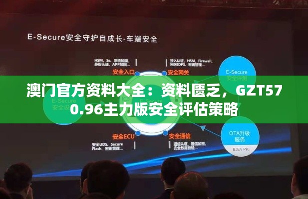 澳门官方资料大全:资料匮乏,GZT570.96主力版安全评估策略