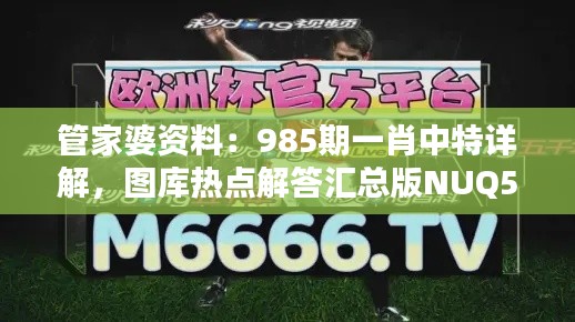 管家婆资料:985期一肖中特详解,图库热点解答汇总版NUQ558.42