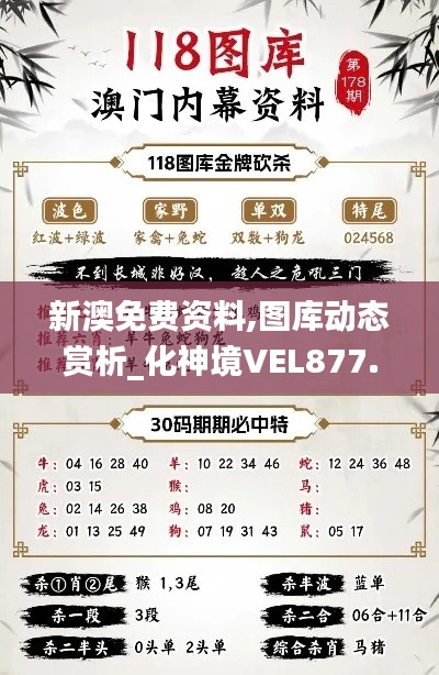 新澳免费资料,图库动态赏析_化神境VEL877.16