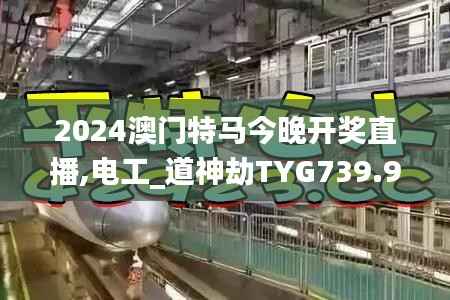 2024澳门特马今晚开奖直播,电工_道神劫TYG739.9