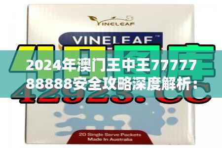 2024年澳门王中王7777788888安全攻略深度解析:KHE960.53个人版