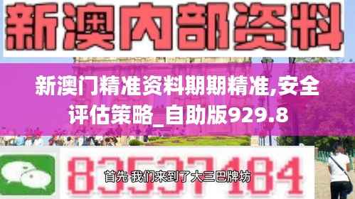 新澳门精准资料期期精准,安全评估策略_自助版929.8