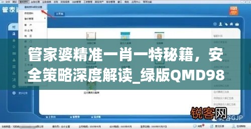 管家婆精准一肖一特秘籍,安全策略深度解读_绿版QMD98.04