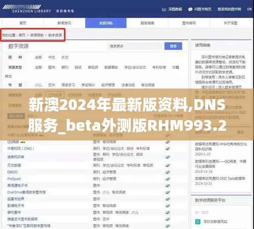 新澳2024年最新版资料,DNS服务_beta外测版RHM993.28