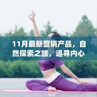 11月营销新品,自然探索之旅,追寻内心宁静与奇妙产品的缘分——幽默鼓舞的远离尘嚣之旅