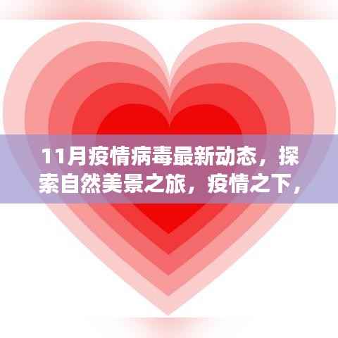 疫情下的自然探索之旅,最新病毒动态与心灵净化之旅