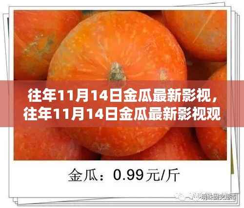 往年11月14日金瓜影视指南,从初学者到进阶用户的全方位教程及最新影视观看体验