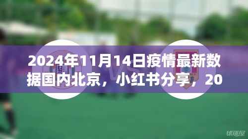 2024年11月14日国内北京疫情实时更新数据分享(小红书)
