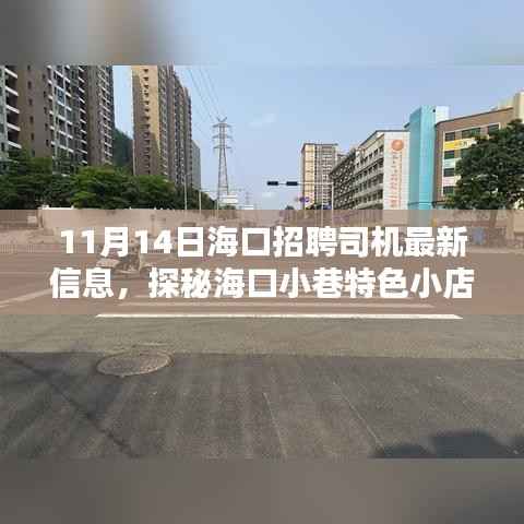 海口招聘司机最新信息,探秘特色小店,11月14日招募司机