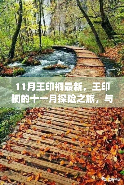 王印桐十一月探险之旅,与自然美景的邂逅与内心平和的追寻