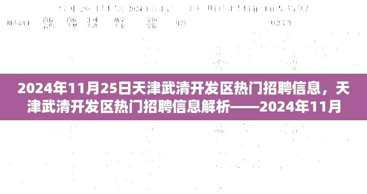 天津武清开发区热门招聘信息解析,2024年11月概览