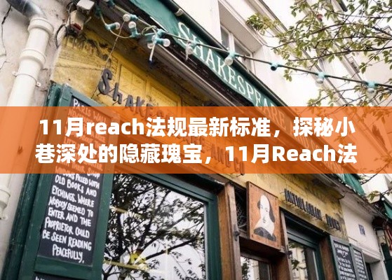 探秘小巷深处的独特小店,揭秘11月Reach法规最新标准下的隐藏瑰宝