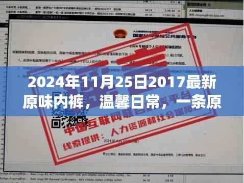 一条原味内裤的奇妙旅程,探索温馨日常的最新时尚(2024年11月25日)