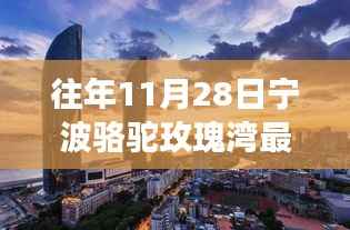 揭秘宁波骆驼玫瑰湾房价变迁,历年11月28日最新房价回顾与风云解析