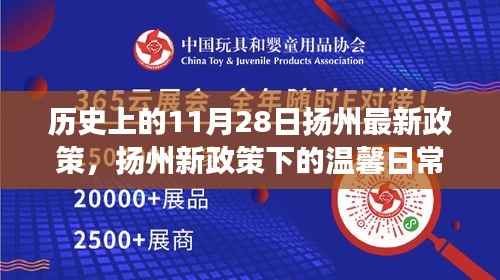 扬州新政策下的友谊与爱故事,历史视角下的温馨日常(11月28日最新政策)