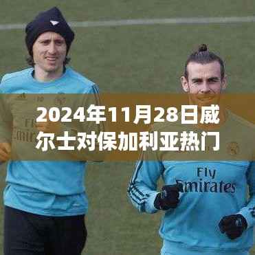 超越时空的励志篇章,威尔士与保加利亚的相遇,变化的力量塑造自信成就之路(威尔士对保加利亚赛事前瞻)