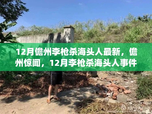 儋州李枪杀海头人事件深度解析,最新消息与震惊社会的背后真相